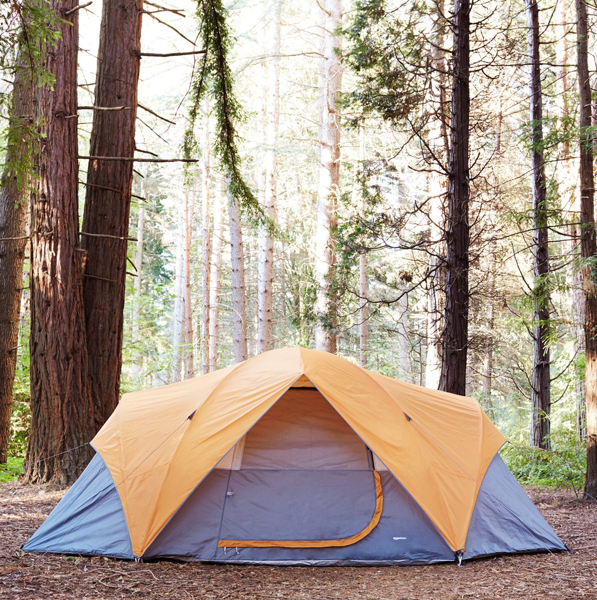 AmazonBasics Tent for Camping - 8-Person