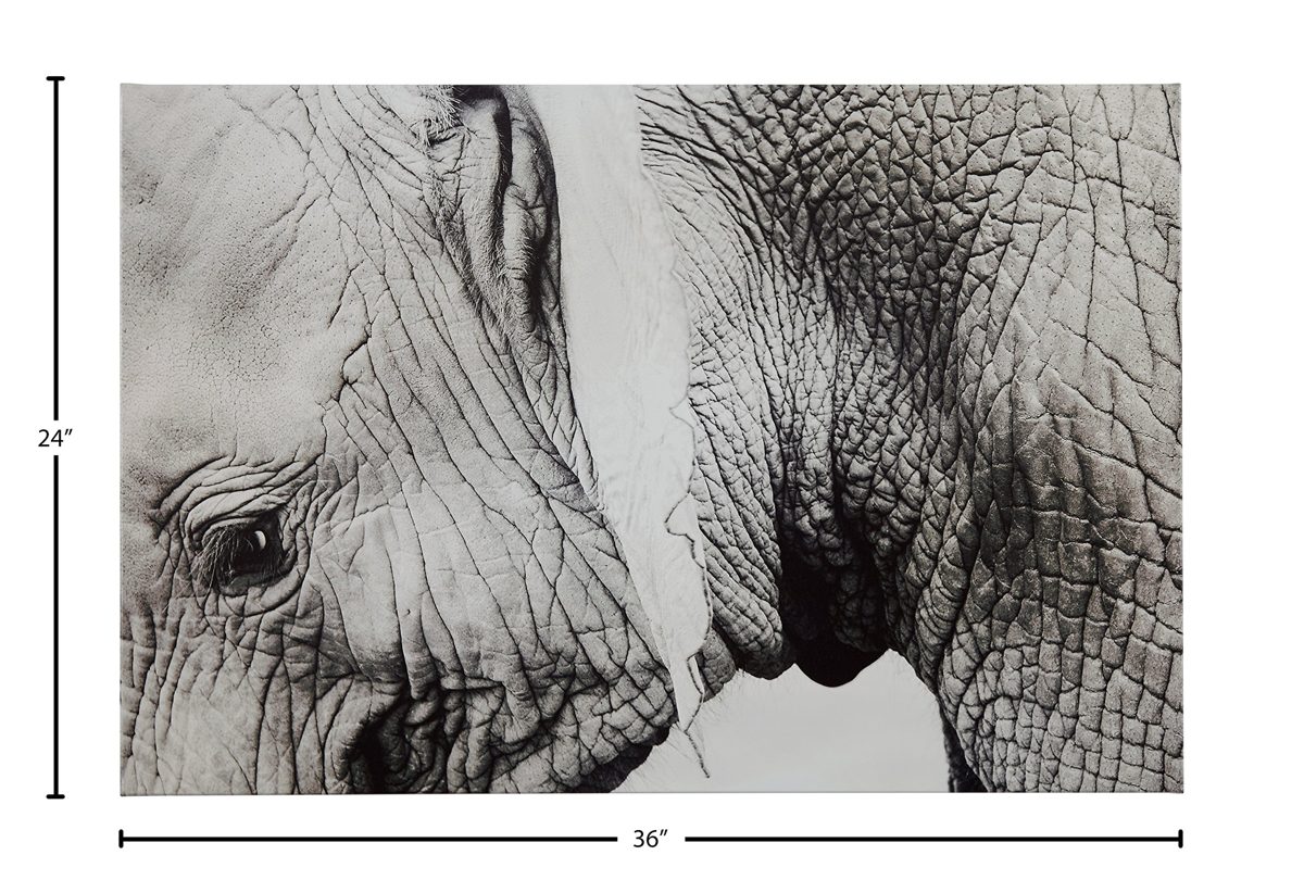 Amazon Brand – Rivet Up Close Black and White Elephant Photo Canvas Print Wall Art Decor, 36" x 24"