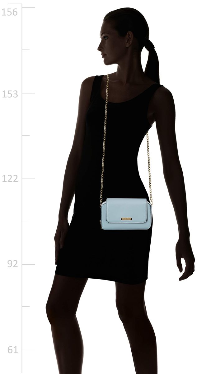 Flavia Women's Clutch (Blue)