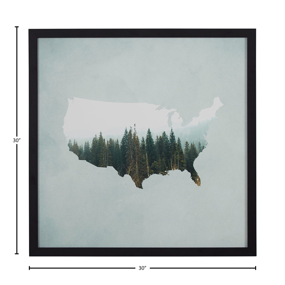 Amazon Brand – Rivet American Forest Map Wall Art Print in Black Wood Frame, 30" x 30"
