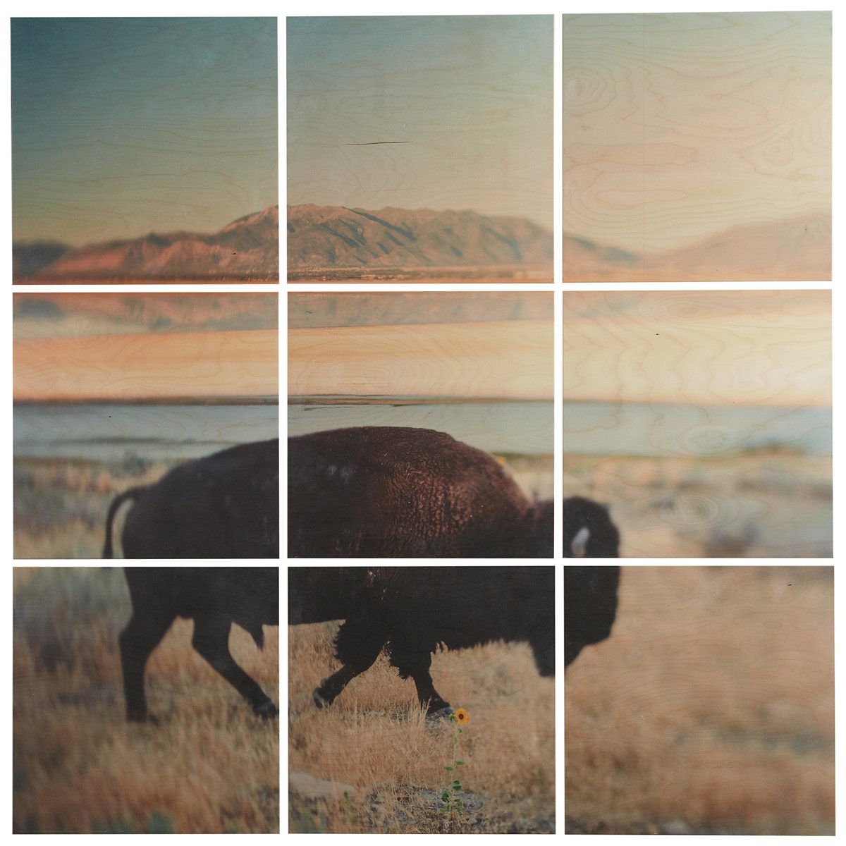 Amazon Brand – Rivet 9-Piece Southwest Bison Desert Mural Wall Art on Wood, 48" x 48"