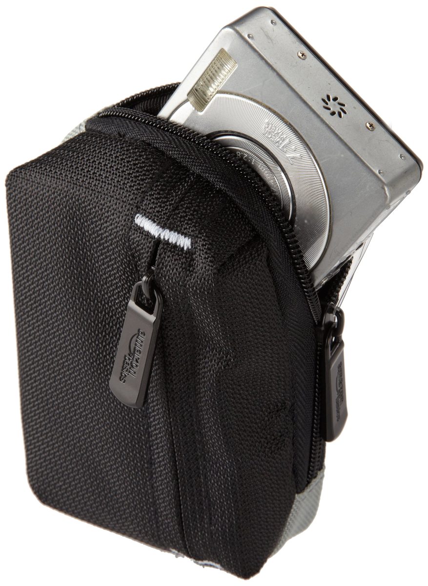 AmazonBasics Compact Camera Case