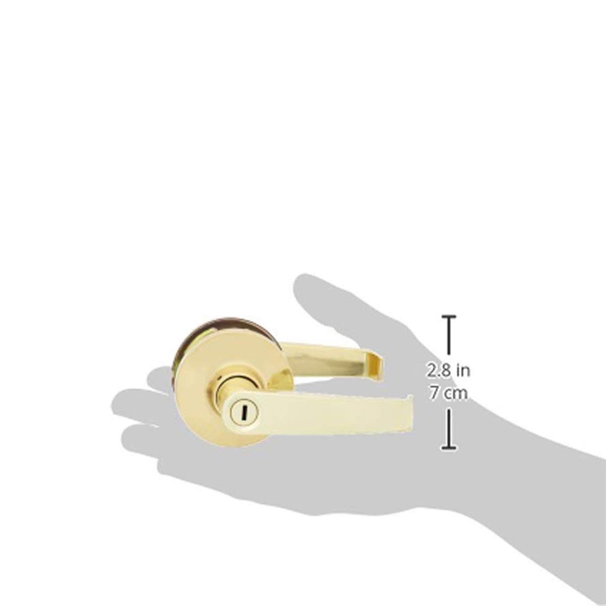 AmazonBasics Privacy Door Lever - Hook - Polished Brass