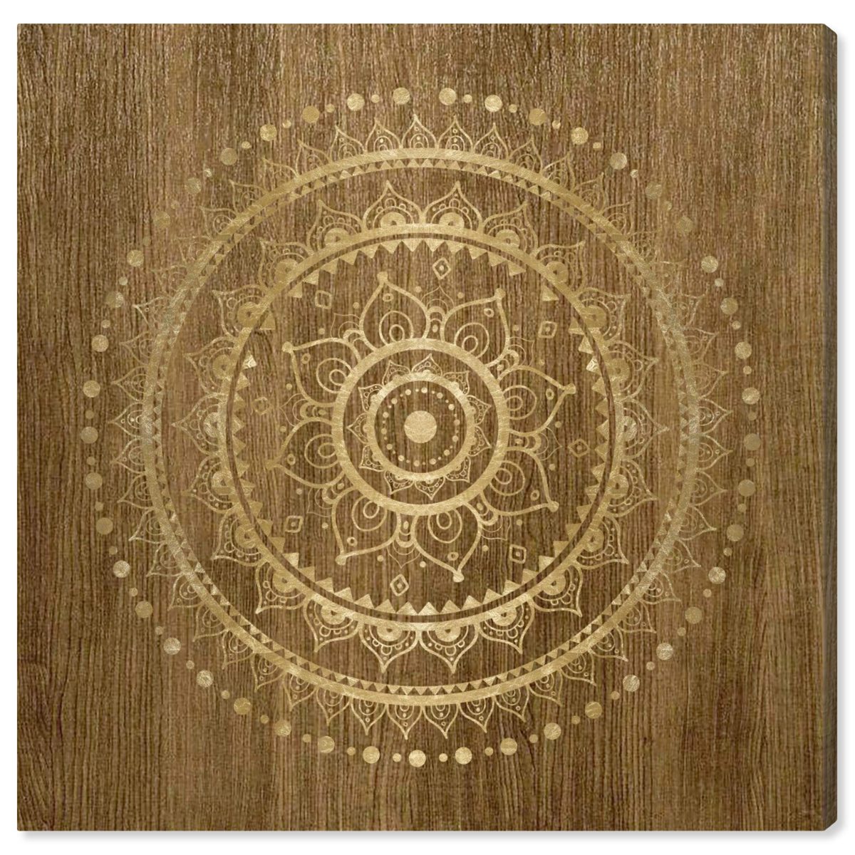 Amazon Brand – Stone & Beam Contemporary Gold on Brown Mandala Canvas Wall Art Print, 16" x 16"