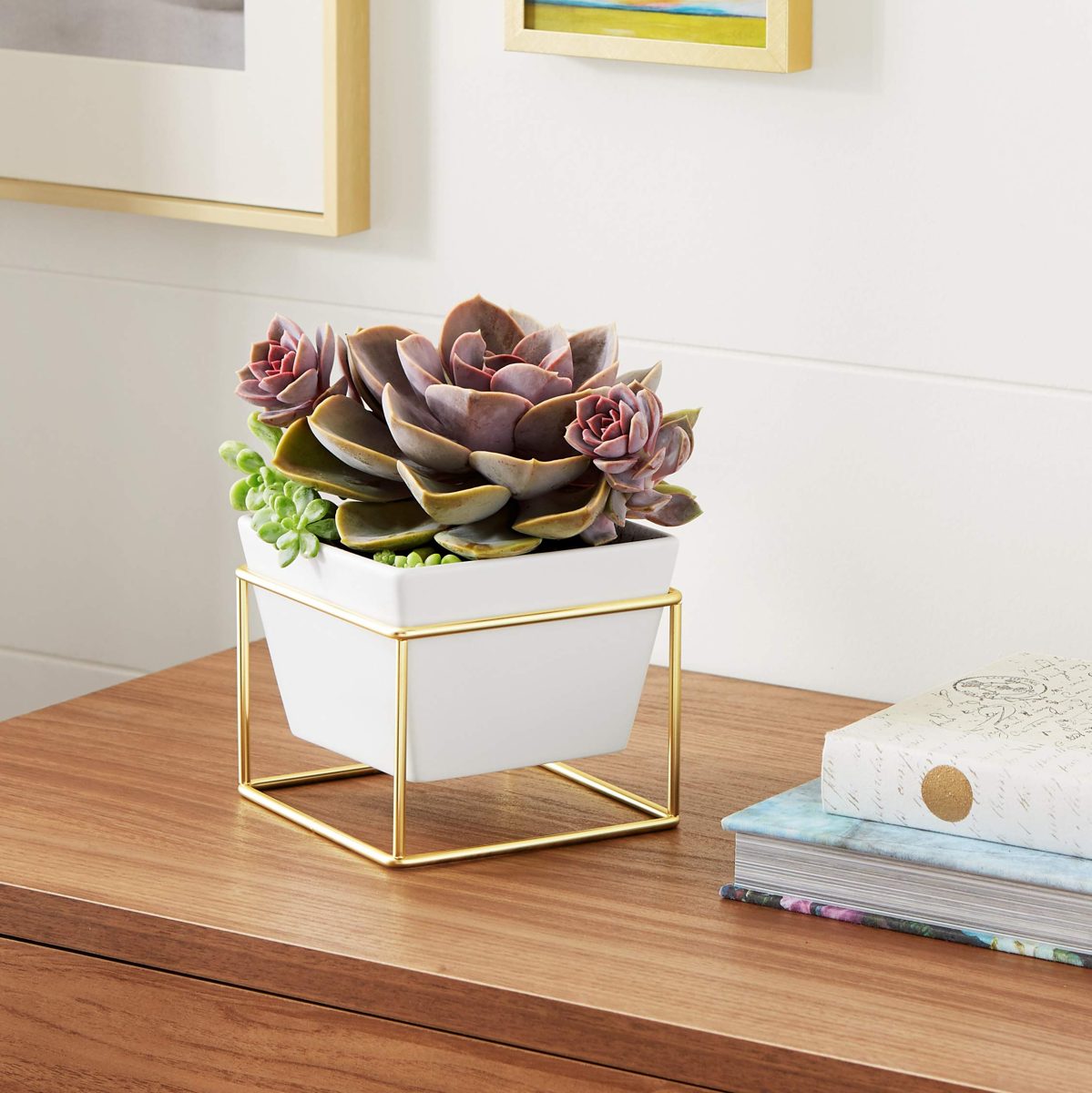 AmazonBasics Tabletop Planter, Square - White/Brass