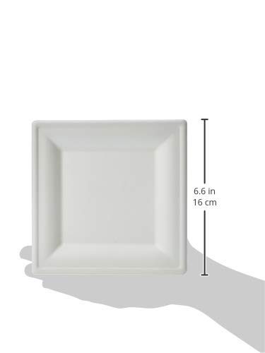 AmazonBasics Compostable Square Plates, 6-Inches, Pack of 500