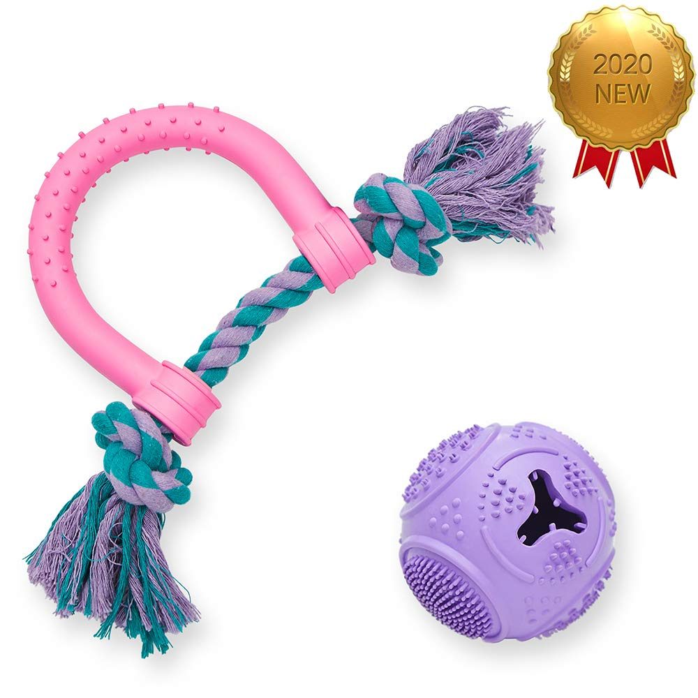 UMI. Essential Dog Dental Care Care Value Pack