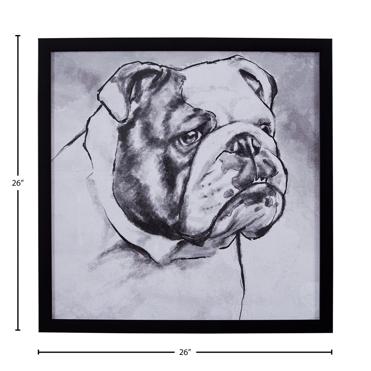 Amazon Brand – Stone & Beam Modern Black and White Print Wall Art of English Bulldog, Black Frame, 26" x 26"