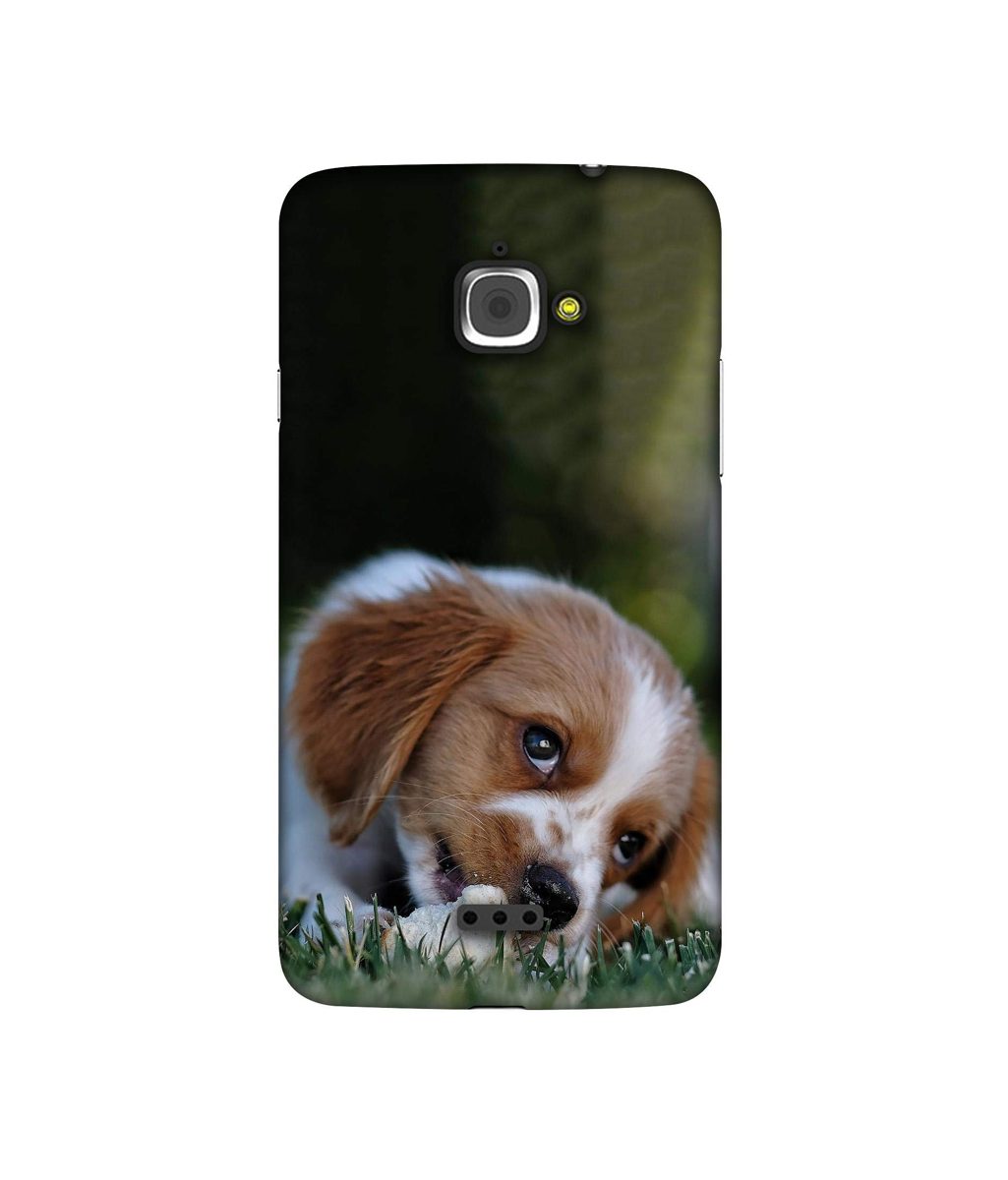 Amazon Brand - Solimo Designer Cute Puppy 3D Printed Hard Back Case Mobile Cover for InFocus M350