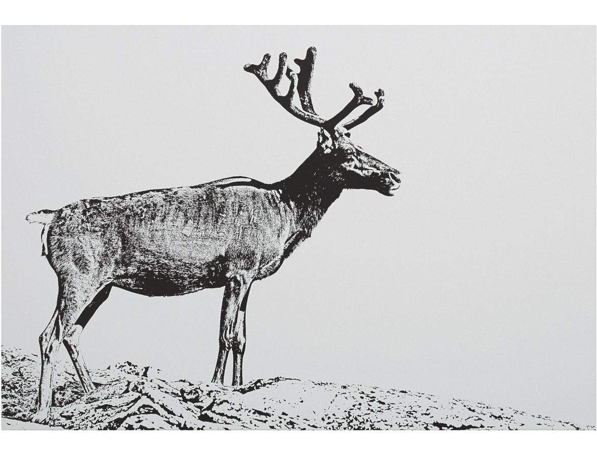 Amazon Brand – Rivet Black and White Canvas Wall Art Print of Male Deer, 24" x 16"