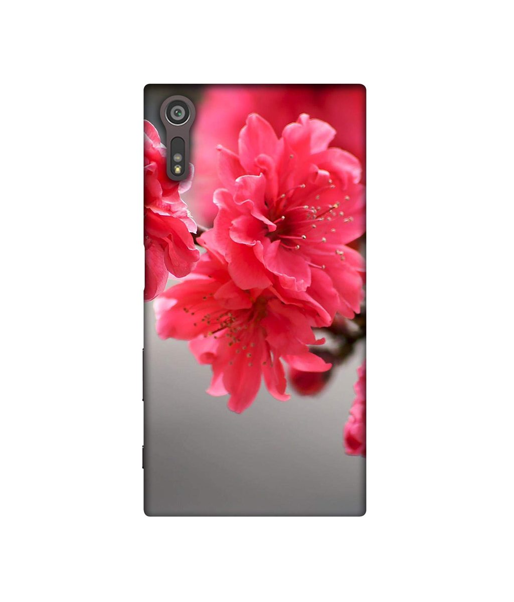Amazon Brand - Solimo Designer Blossom Like Flower 3D Printed Hard Back Case Mobile Cover for Sony Xperia XZ Dual