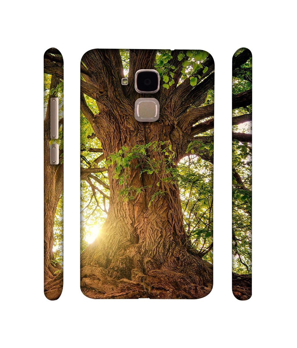 Amazon Brand - Solimo Designer Tree Trunk 3D Printed Hard Back Case Mobile Cover for Huawei Honor 5c