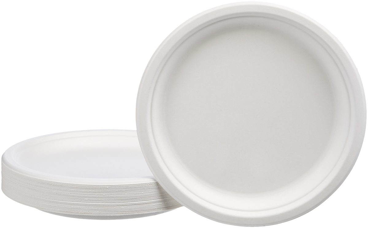 AmazonBasics 10-Inch Compostable Plates, 500-Count