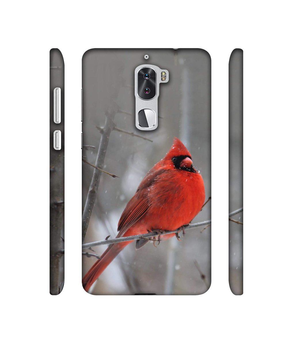Amazon Brand - Solimo Designer Red Engry Bird 3D Printed Hard Back Case Mobile Cover for Coolpad Cool1 Dual