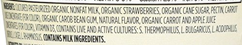 365 Everyday Value, Organic Strawberry Fat Free Yogurt, 5.3 oz