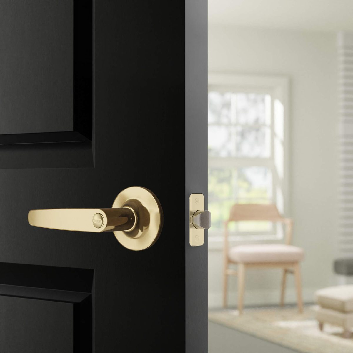AmazonBasics Straight Door Lever - Privacy - Polished Brass