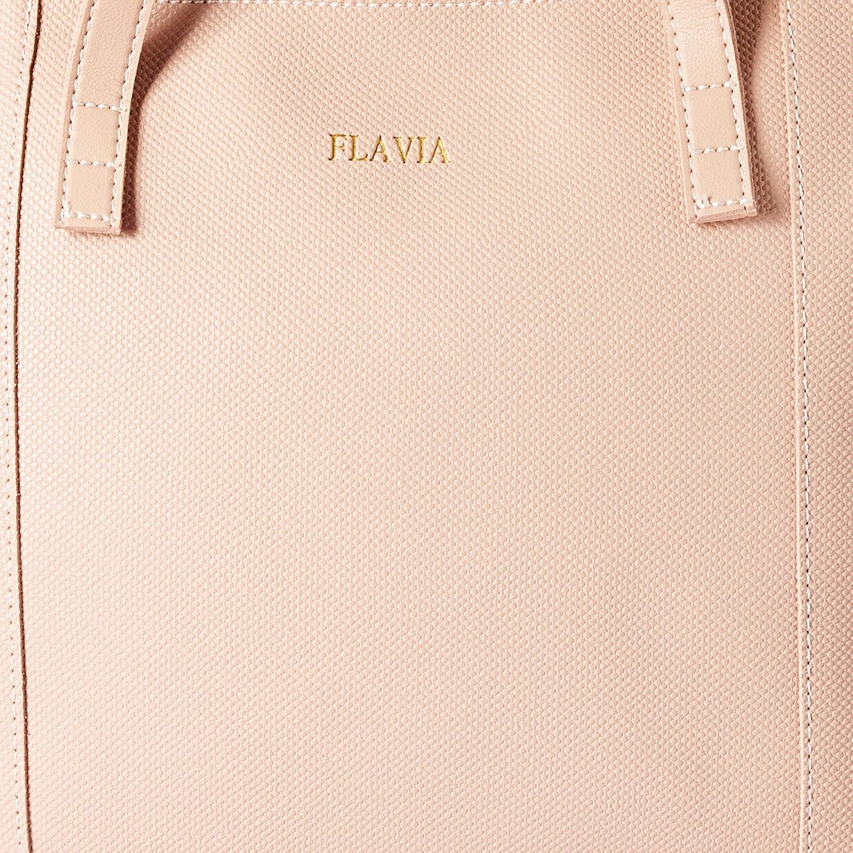 Flavia Women's Handbag (Lt Pink)