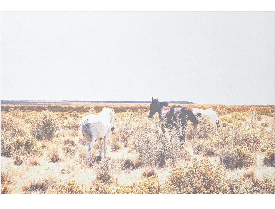Amazon Brand – Rivet Canvas Print of Horses Grazing in Desert Southwest, 36" x 24"