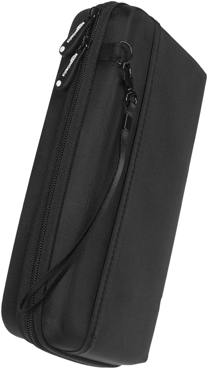 AmazonBasics Travel Case Electronic Devices (e.g. GPS, MP3 Portables, Nintendo DS)