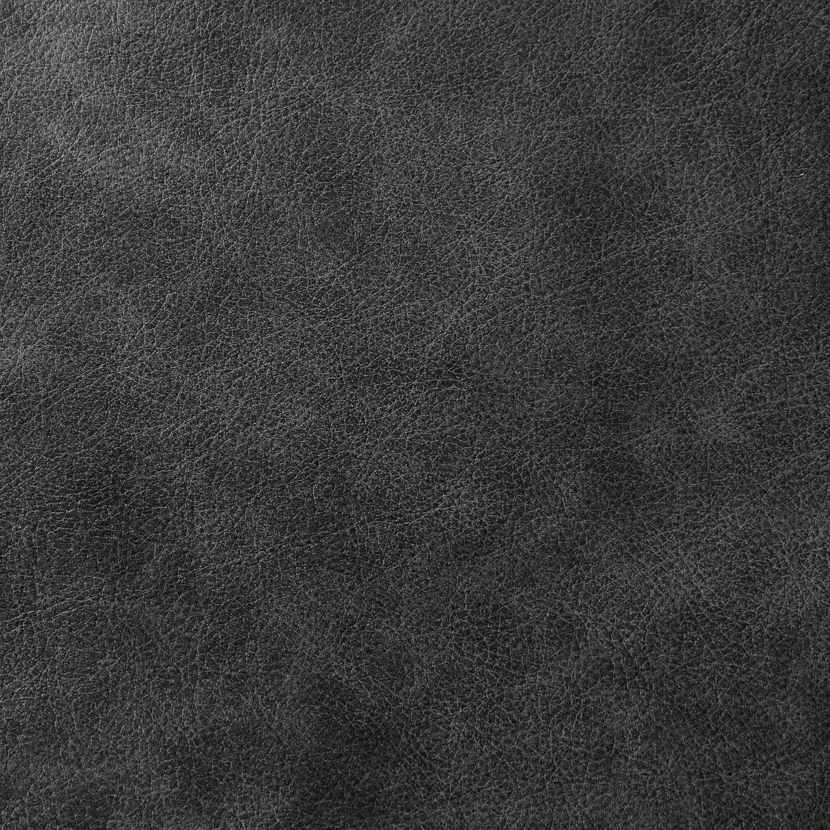 Amazon Brand – Rivet Revolve Modern Leather Loveseat Sofa, 56"W, Black