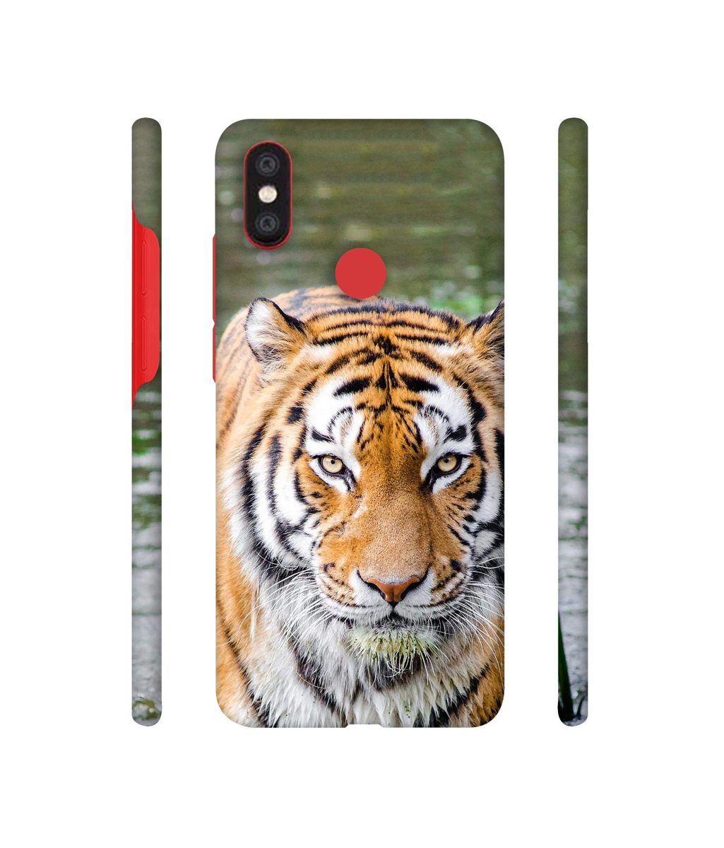 Amazon Brand - Solimo Designer Tiger in Water 3D Printed Hard Back Case Mobile Cover for Xiaomi Mi A2