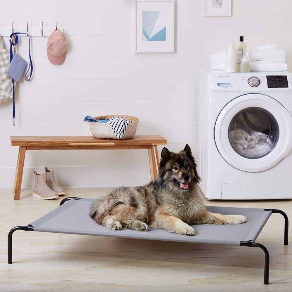 AmazonBasics Extra Large Elevated Cooling Pet Dog Cot Bed - 60 x 37 x 9 Inches, Grey