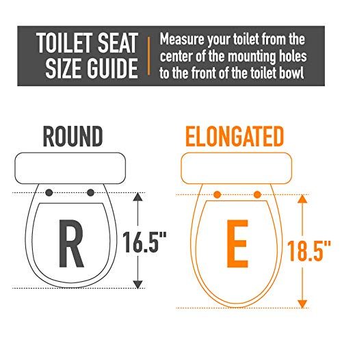 AmazonBasics AB-T100-E-W Economy Toilet Seat, Elongated, White, 1-Pack