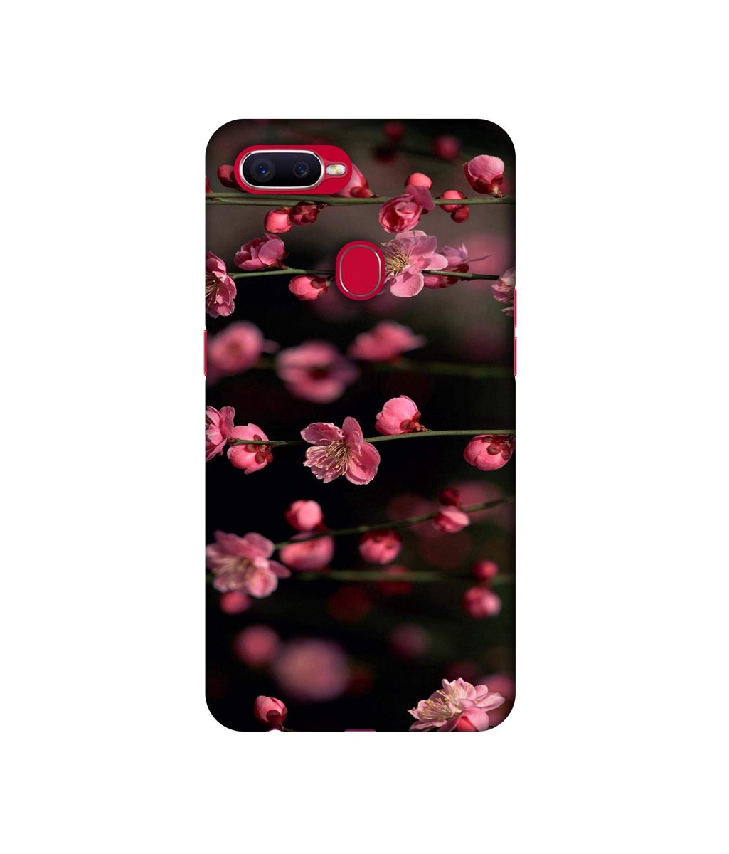Amazon Brand - Solimo Designer Pink Flowers 3D Printed Hard Back Case Mobile Cover for Oppo F9 Pro/Oppo F9