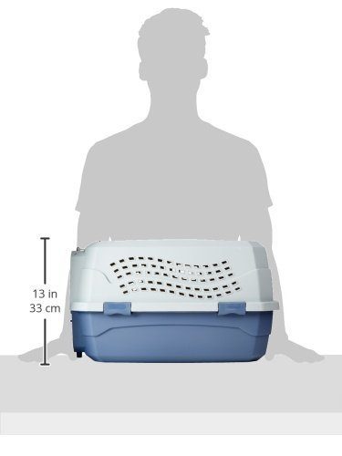 AmazonBasics Two-Door Top-Load Pet Kennel