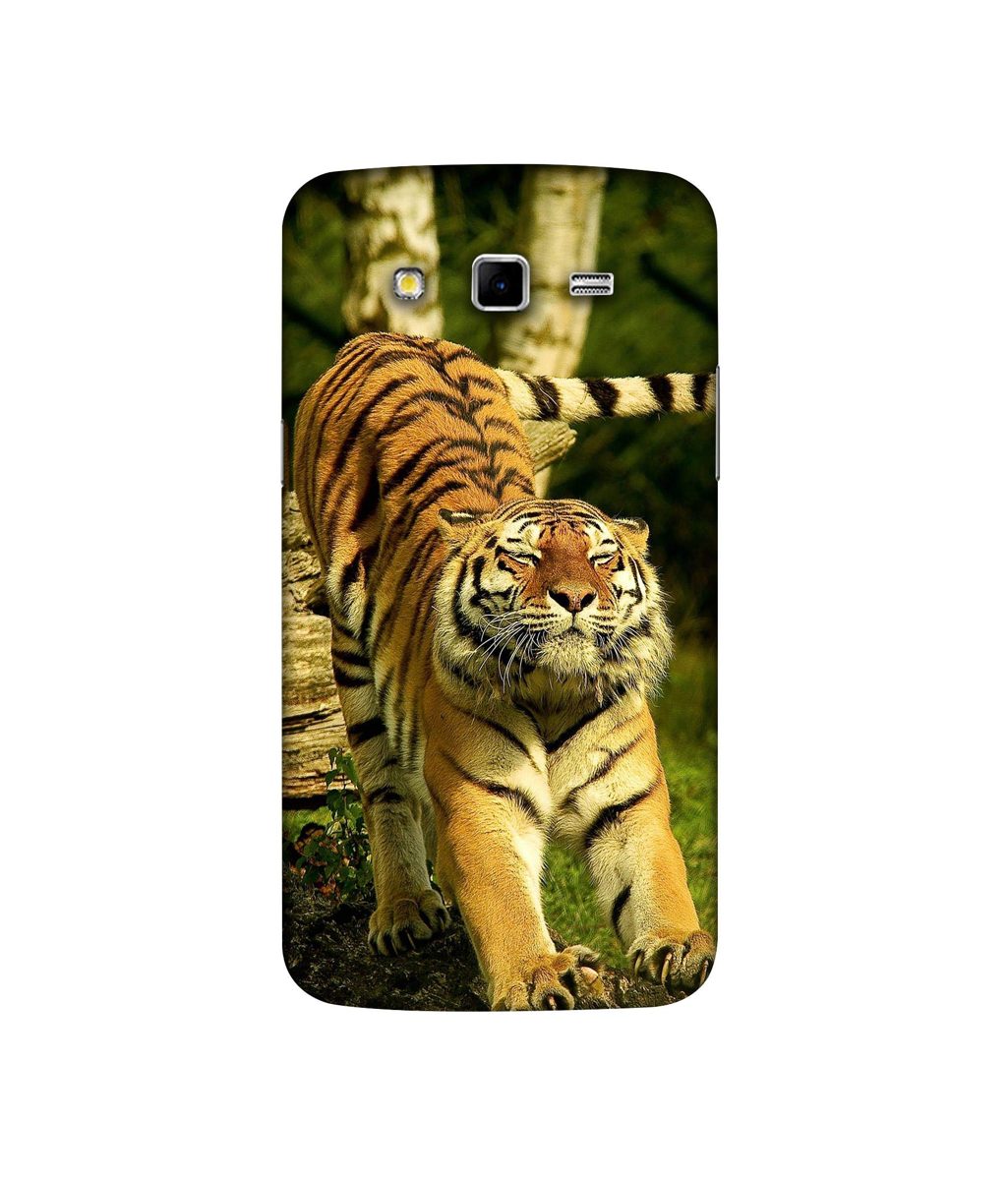 Amazon Brand - Solimo Designer Tiger 3D Printed Hard Back Case Mobile Cover for Samsung Galaxy Grand 2 G7102 / G7105