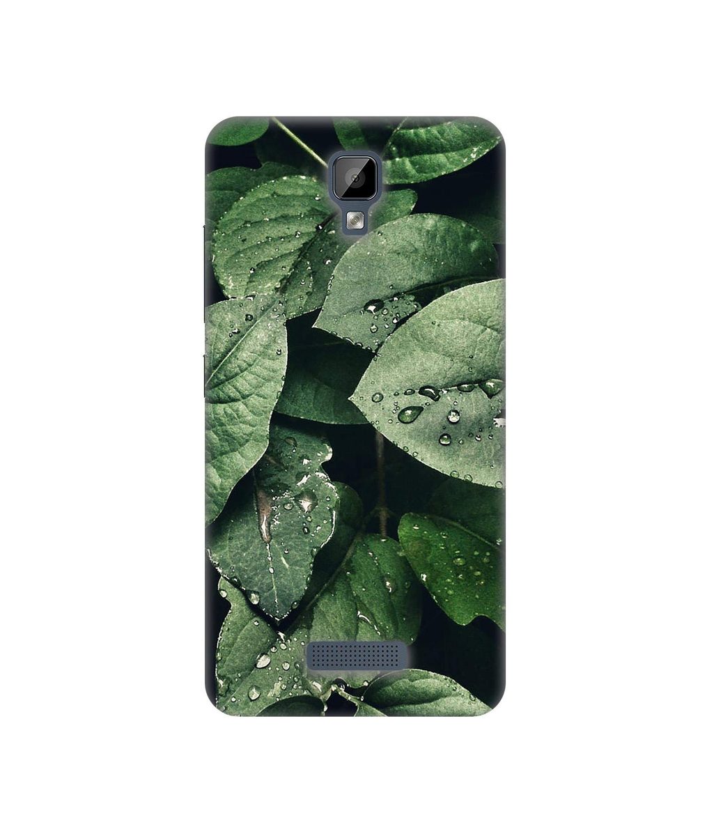 Amazon Brand - Solimo Designer Leafs 3D Printed Hard Back Case Mobile Cover for Gionee P7 Max