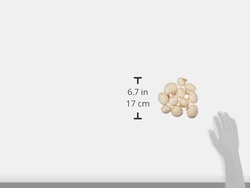 Organic White Mushrooms, 8 oz Package