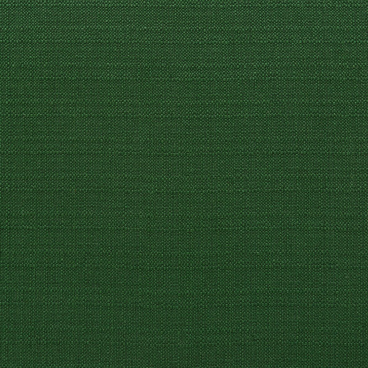 Amazon Brand – Stone & Beam Modern Sweeping Arm Settee, 51"W, Emerald