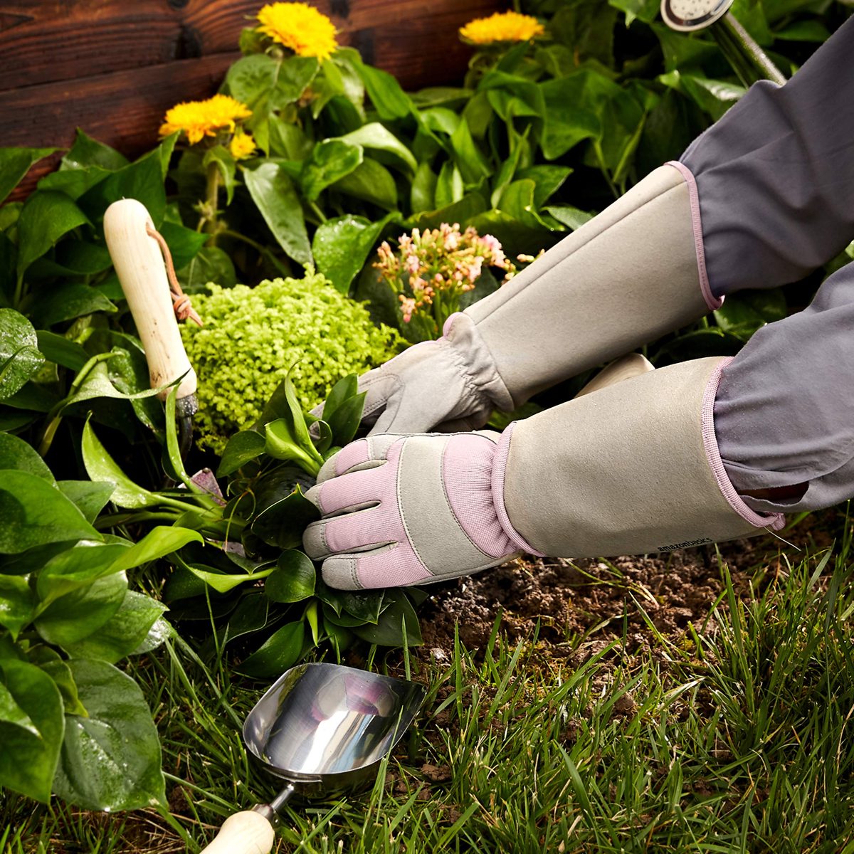 AmazonBasics Rose Pruning Thorn Proof Gardening Gloves with Forearm Protection, Pink, M