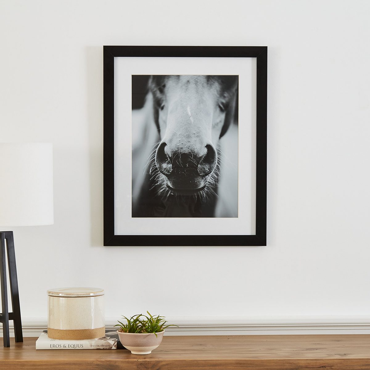 Amazon Brand – Stone & Beam Modern Black and White Horse Nose Photo Framed Wall Art Decor - 18" x 22" Frame, Black