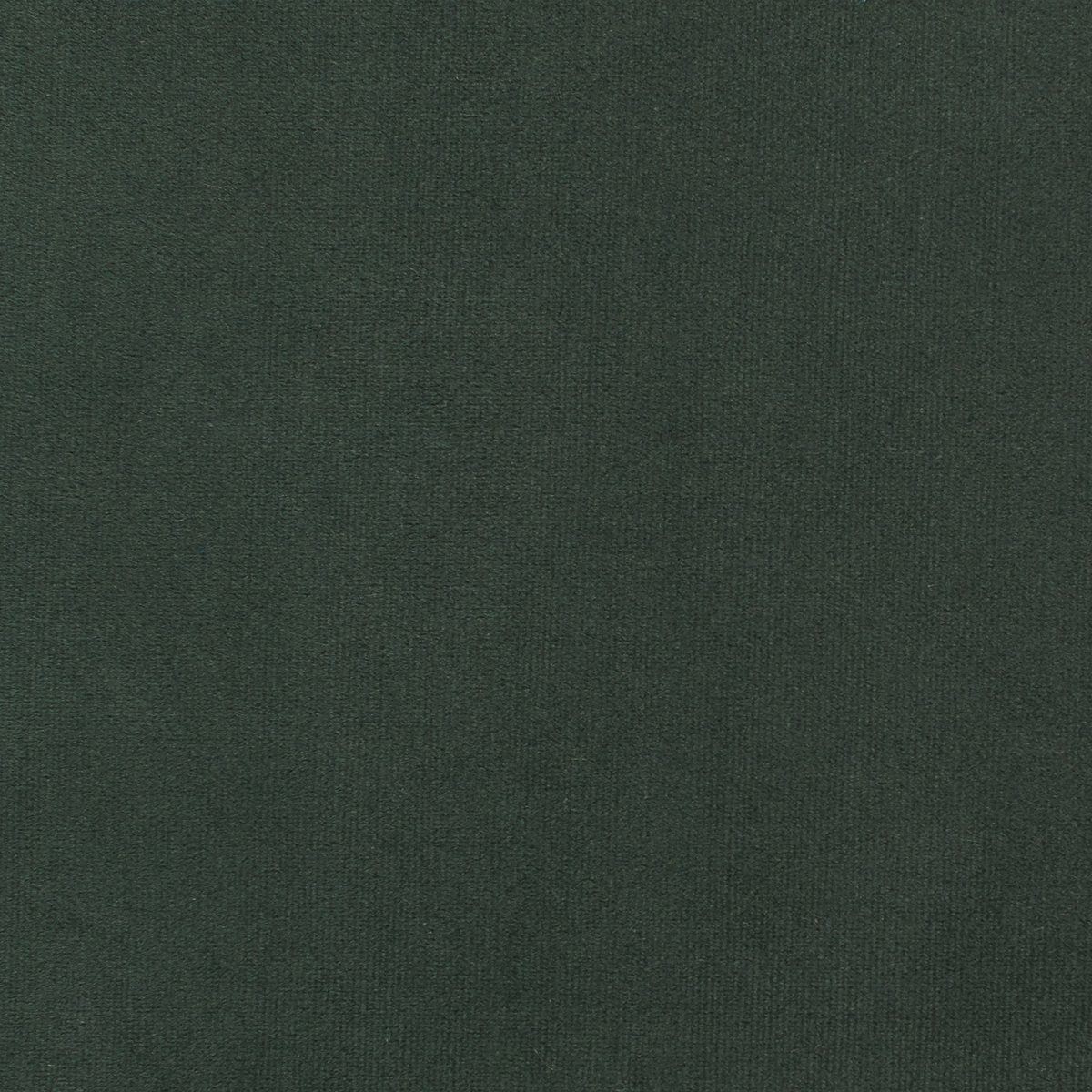 Amazon Brand – Rivet Aiden Tufted Mid-Century Velvet Bench Seat Sofa, Without Side Pillows, 74"W, Hunter Green