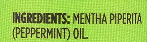 Whole Foods Market, Essential Oil Peppermint, 1 Fl Oz