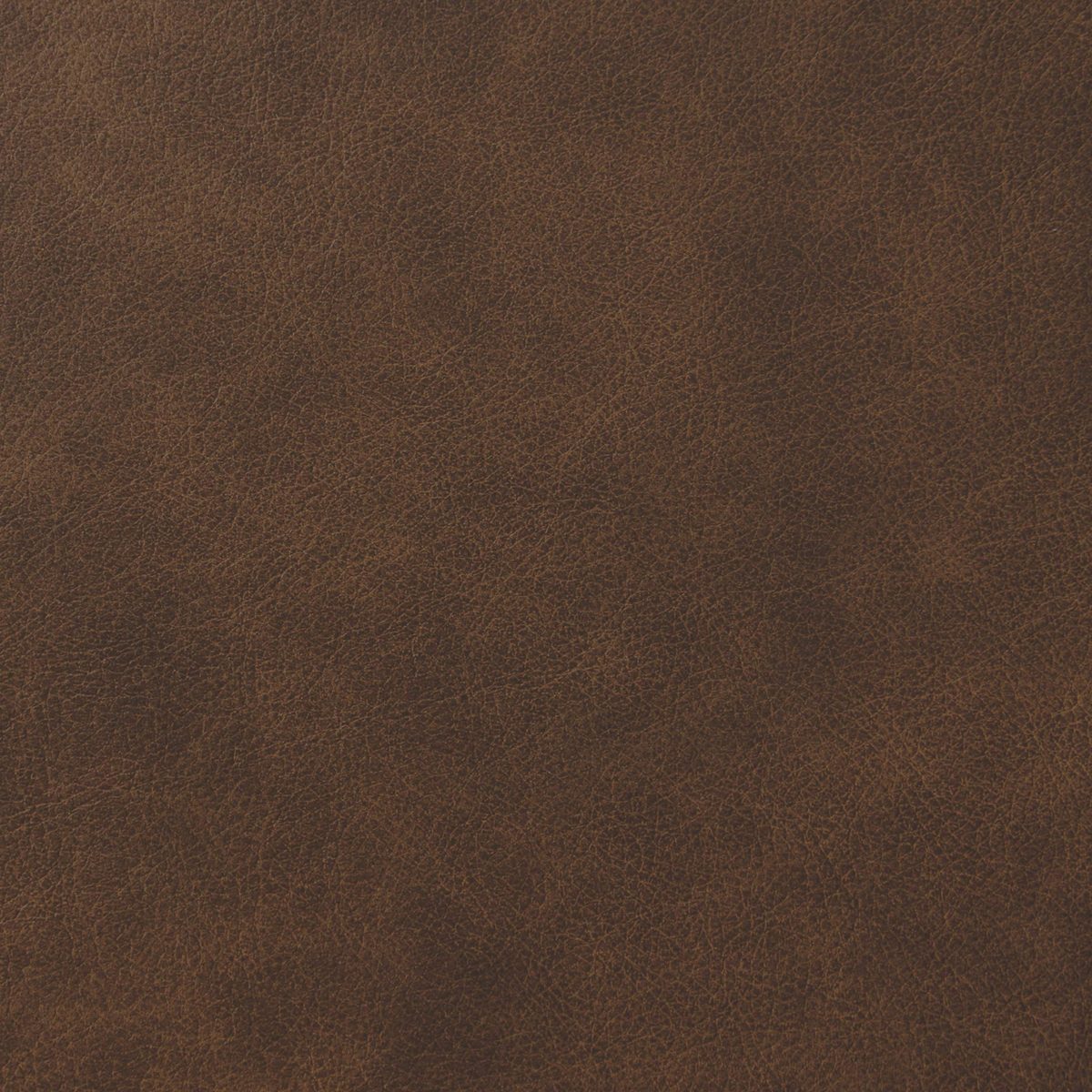 Amazon Brand – Rivet Revolve Modern Leather Loveseat Sofa, 56"W, Chestnut