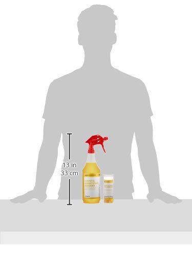 AmazonCommercial Dissolvable Carpet Fabric Stain Remover Kit with 12 Refill Pacs