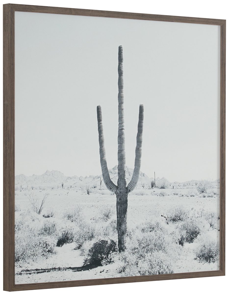 Amazon Brand – Stone & Beam Modern Black and White Desert Cactus Photo on Wood, Grey Frame, 20" x 20"