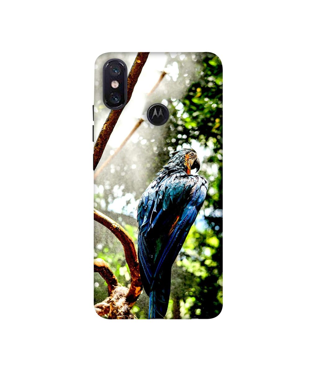 Amazon Brand - Solimo Designer Macaw Parrot 3D Printed Hard Back Case Mobile Cover for Motorola One Power