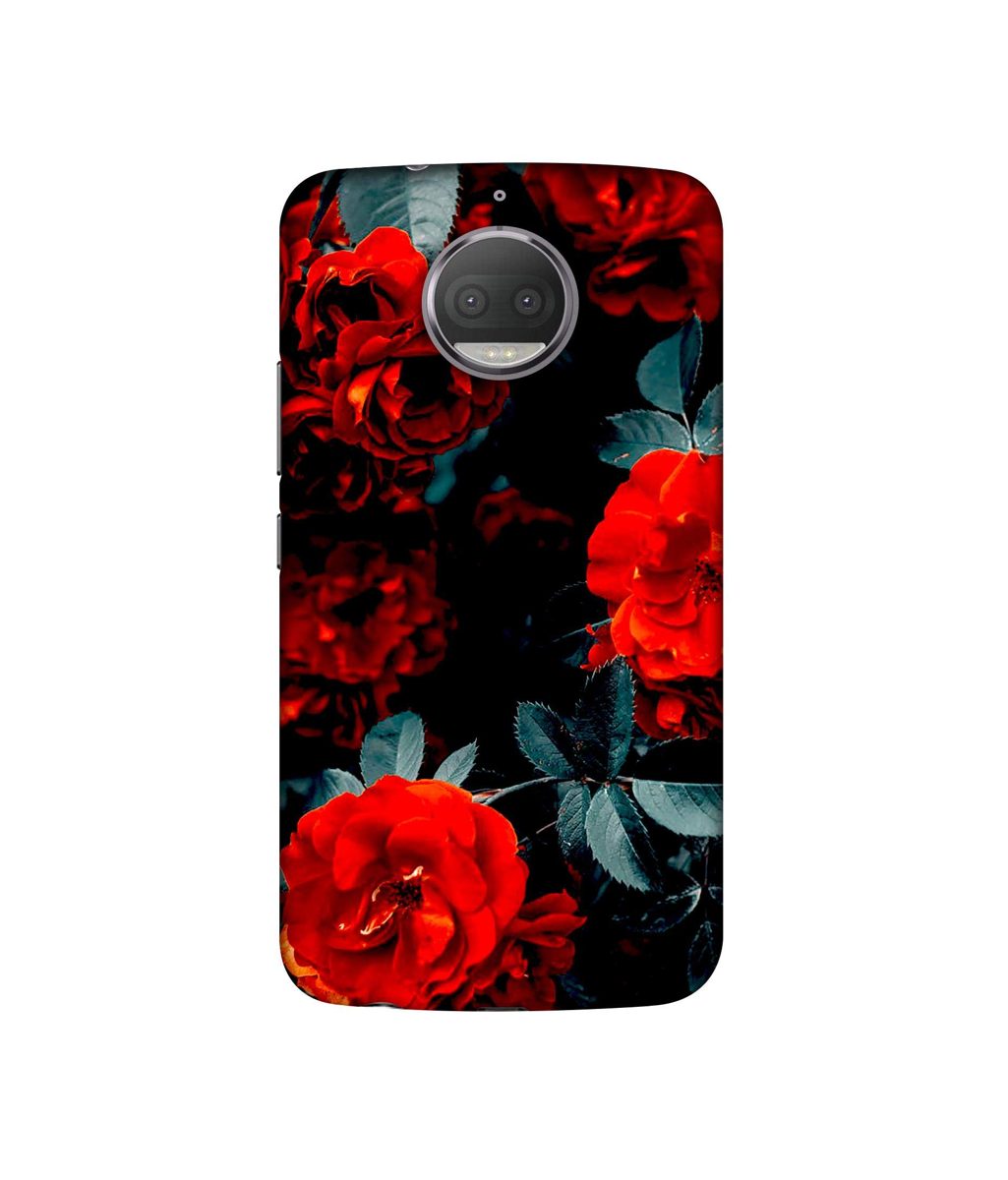 Amazon Brand - Solimo Designer Rose Photography UV Printed Soft Back Case Mobile Cover for Motorola Moto G5S Plus