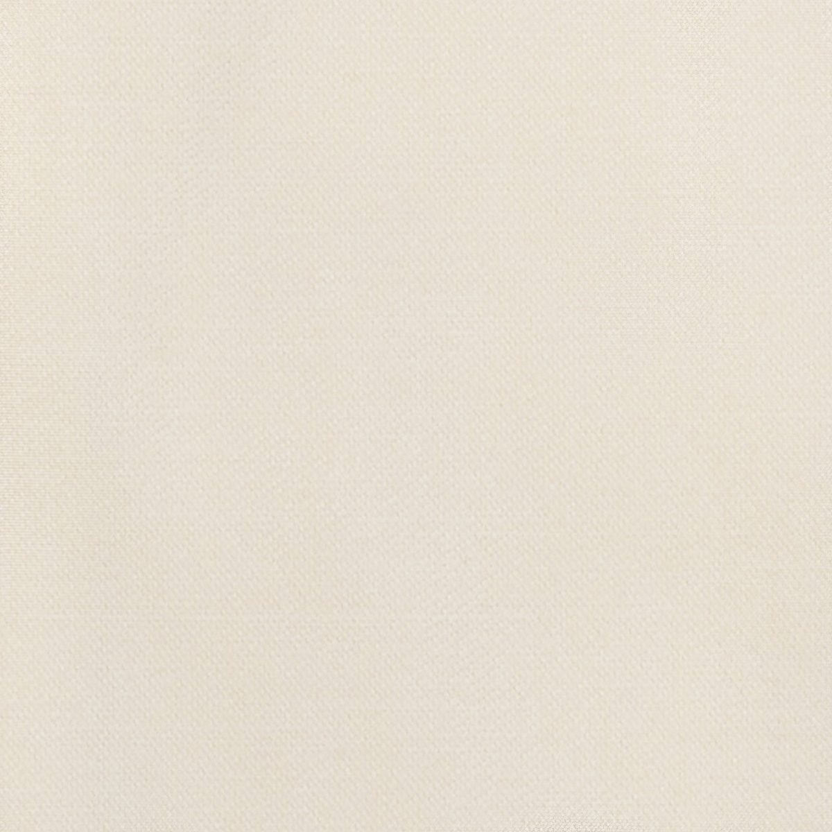 Amazon Brand – Stone & Beam Tisbury Nailhead Trim Queen Bed, 66"W, Classic Cream