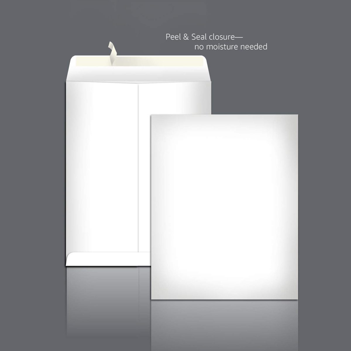 AmazonBasics Catalog Mailing Envelopes, Peel & Seal, 9x12 Inch, White, 100-Pack - AMZP15