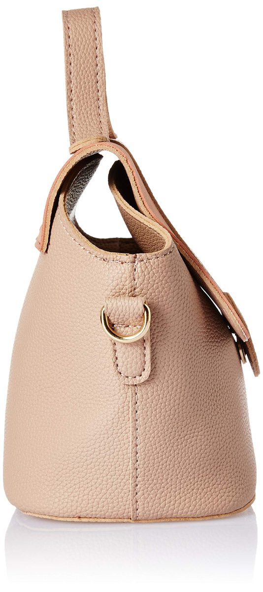 Flavia Women's Handbag (Pink)