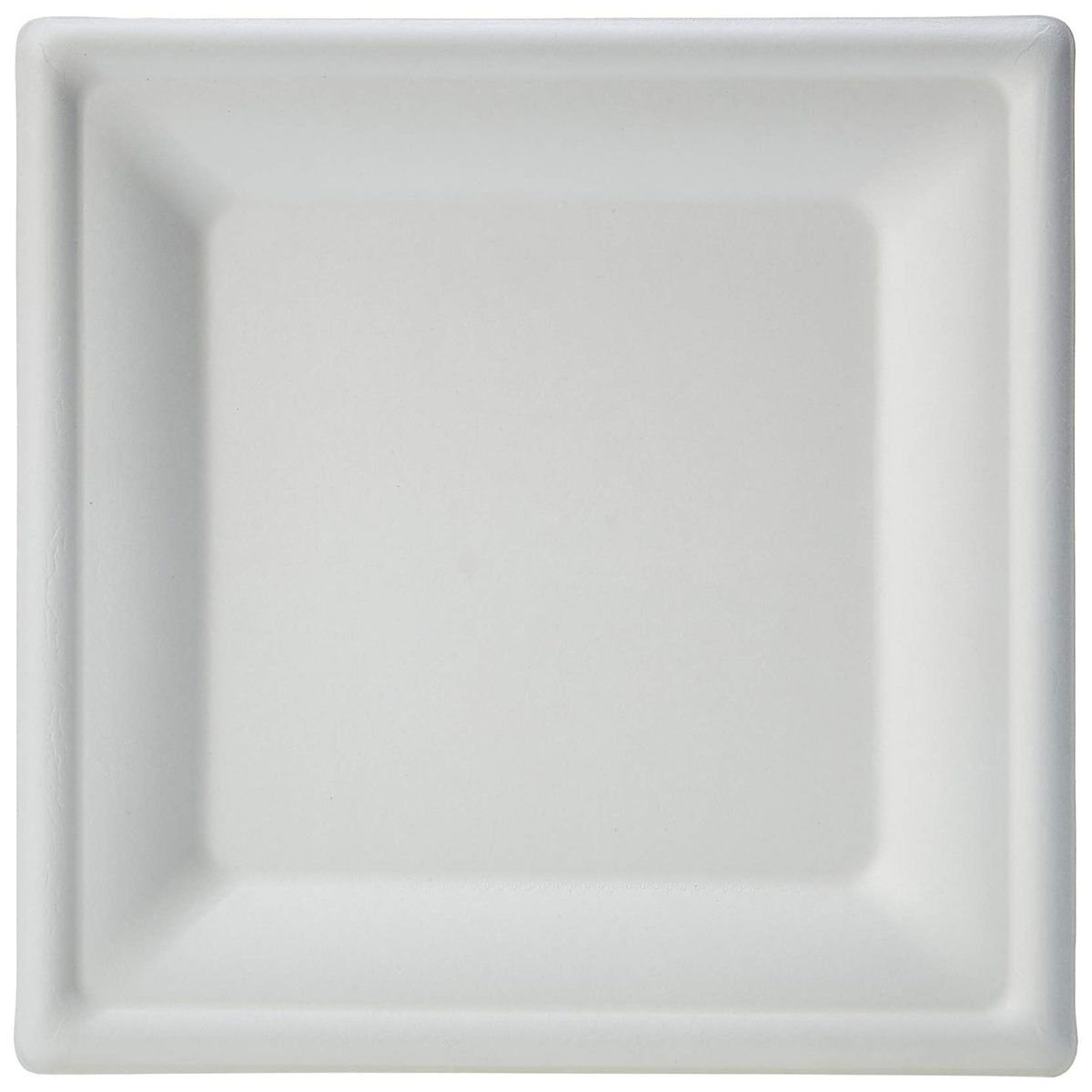 AmazonBasics Compostable Plate, 8-Inches, 500 Plates
