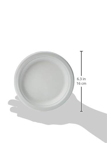 AmazonBasics Compostable Plate, 6-Inches, Pack of 500