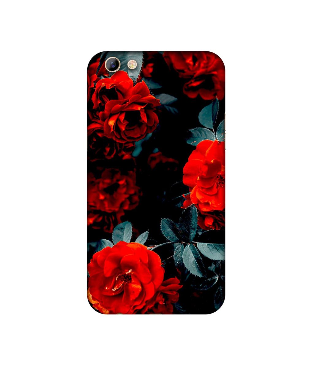 Amazon Brand - Solimo Designer Rose Photography UV Printed Soft Back Case Mobile Cover for Oppo F3 Plus