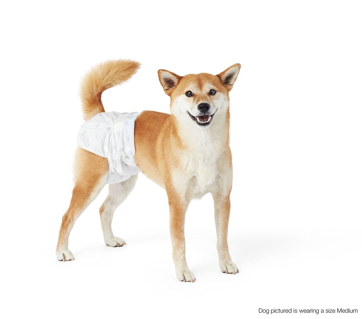 AmazonBasics Dog Diaper
