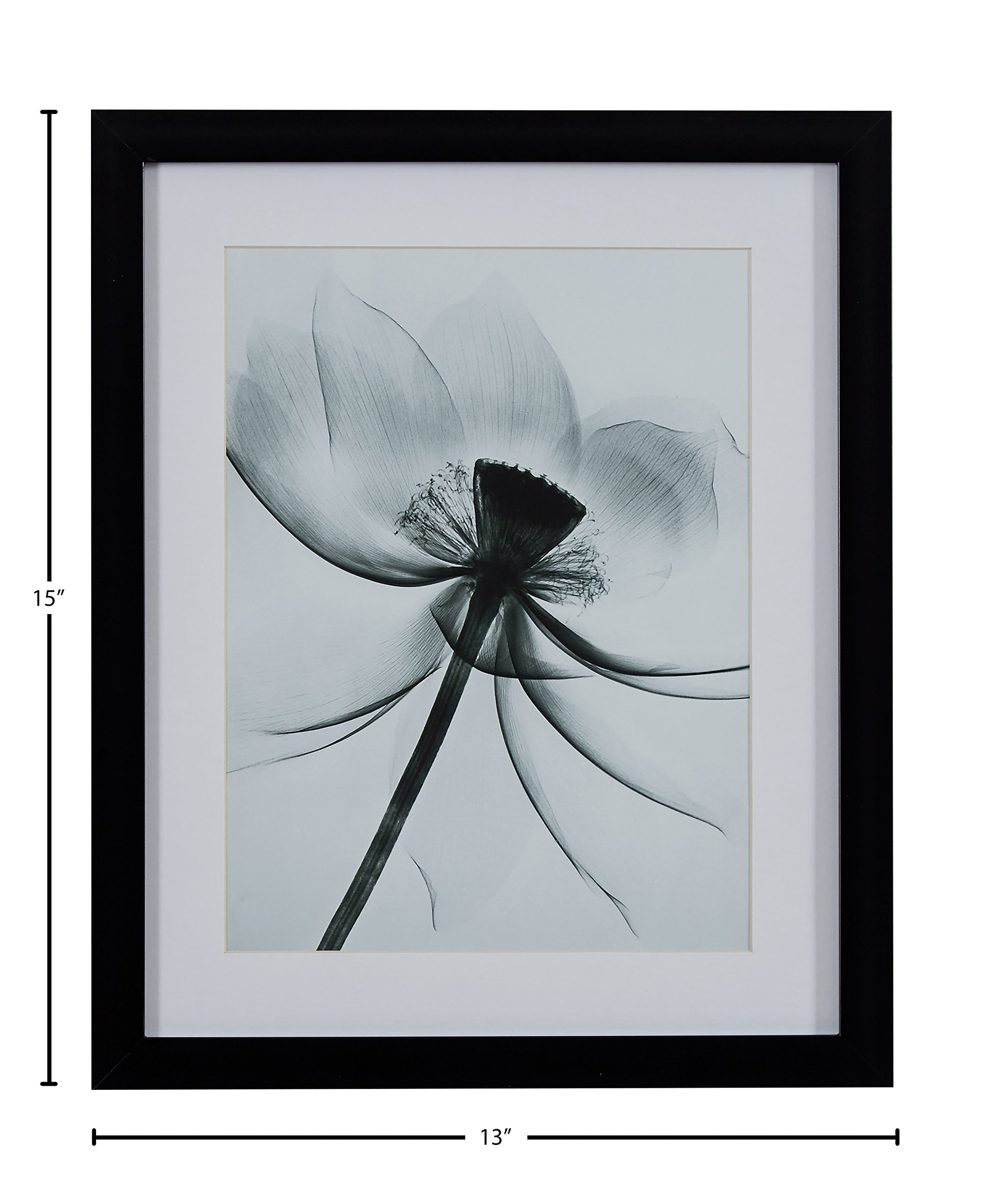 Amazon Brand – Rivet Matted Flower X-Ray Photograph, Black Frame, 13" x 15"